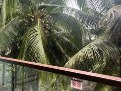 -三亚湾海居铂尔曼度假酒店