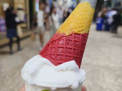 -柠檬车露(卖草地店)