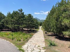 -青龙湖公园