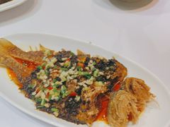-丰收日(五角场店)