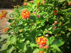 -苏州河梦清园环保主题公园