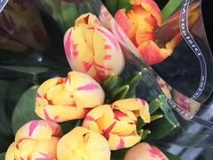 -秦美花卉(天朗·莱茵小城2期店)