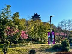 -雅达·阳羡溪山小镇中心