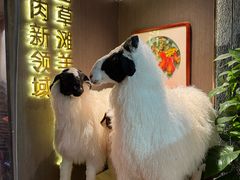 -百草滩羊清水涮羊肉·清真·宁夏盐池滩羊(莲花桥店)