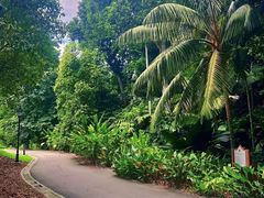 -植物园哈利亚餐厅