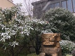 -上海崇明金茂凯悦酒店