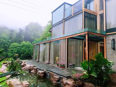 -南山植物园