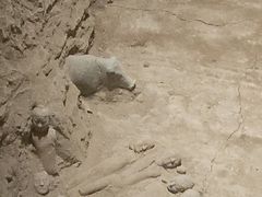 -汉景帝阳陵博物院
