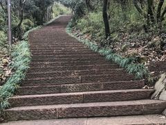 -杭州半山国家森林公园