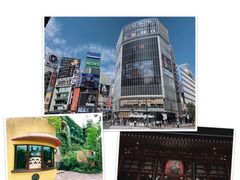 -帝京日语(春熙路旗舰校区)