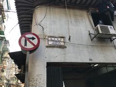 -洪馨椰子