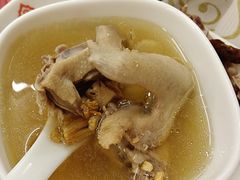 -百利鸽王(紫薇路店)