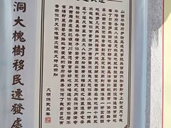 -大槐树寻根祭祖园