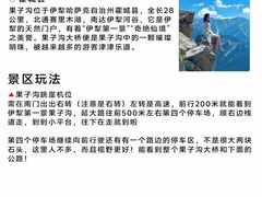 -伊犁羊杂馆