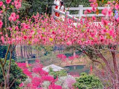 -桃花涧