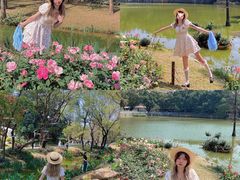 -人民公园(罗湖区)