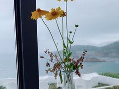 -枸杞岛