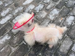 -美联众合动物医院·24h转诊中心