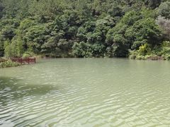 -广州白江湖森林公园