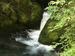 -神农架香溪源景区