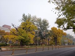 -清华大学玉泉医院