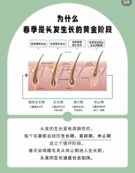 -希梵尔头皮抗衰·科技养发