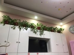 -香薇妮丝·定制减肥·身材管理