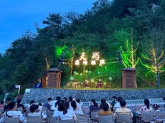 -千岛湖天屿景区