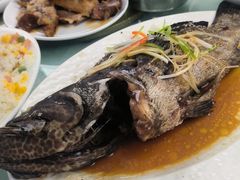 -索菲亚国际大酒店