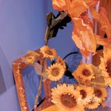 🌻上海探店｜向日葵控的天堂，美到哭泣！