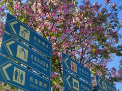 -花都广场