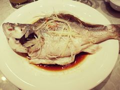 -金蝉食府(维吉奥广场店)