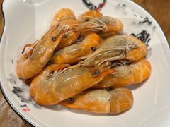 -椿不老