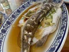 清蒸白水鱼-洞天食府(北大街店)