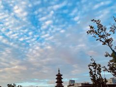 -龙华寺