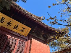 -洛阳白马寺