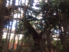 iphone_upload_pic-龙达温泉生态城