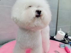 -宠福鑫康馨动物医院·骨科·眼科