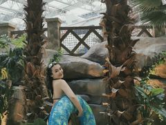 -青岛东方影都融创水世界