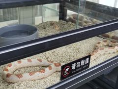 -三旗百汇商品城