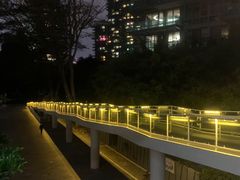 -深圳湾公园(南山区)