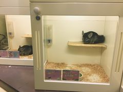 -龙猫仔乐园(惠福东路店)