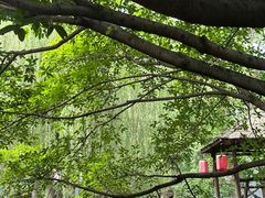-黄龙溪古镇