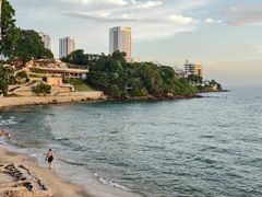 -卷心菜和避孕套餐厅(Pattaya)