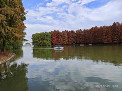 -上海海湾国家森林公园