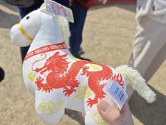 -沂蒙山旅游区云蒙景区(蒙山国家森林公园)