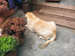 -杨厝六十六农庄农舍(杨厝路店)