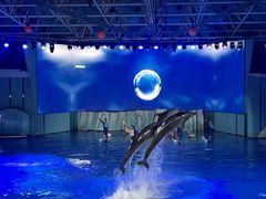 -海合安青岛极地海洋公园
