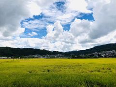 -和顺古镇