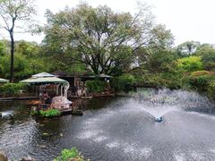 -桂湖森林公园